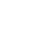 Connection Of People Icon